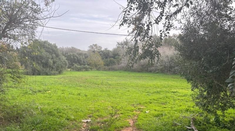 Cádiz - Vejer de la Frontera - 4000m2