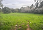 Terreny no urbanitzable en venda a la España, Vejer de la Frontera, ref.: TR385719 foto