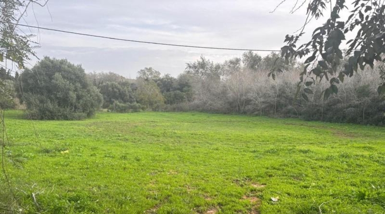 Cádiz - Vejer de la Frontera - 4000m2