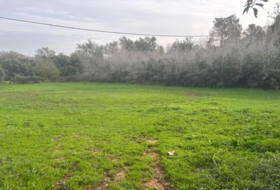 Vejer de la Frontera 4000&nbsp;m² 