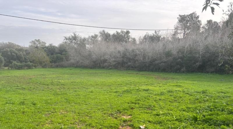 Cádiz - Vejer de la Frontera - 4000m2