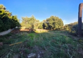 Sòl urbà en venda a la España, Castellvell del Camp, ref.: TR383807 foto