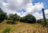 Sòl urbà en venda a la España, Castellvell del Camp, ref.: TR383807 foto