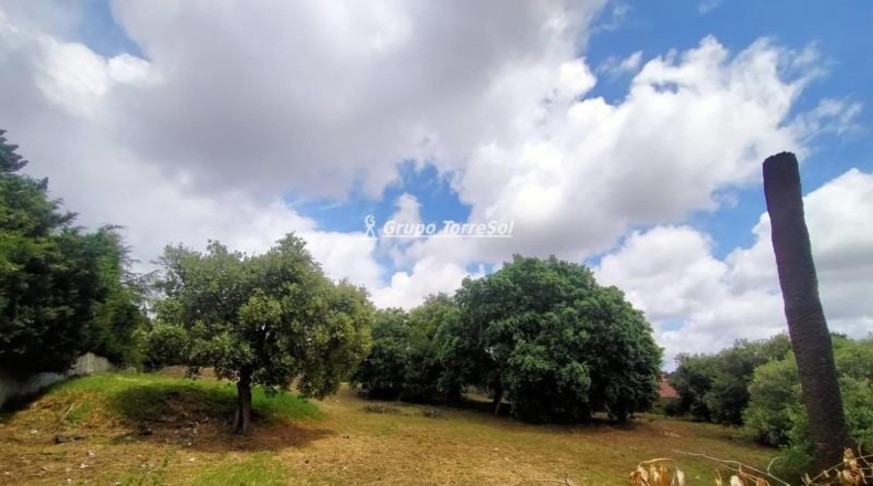 Tarragona - Castellvell del Camp - 770m2