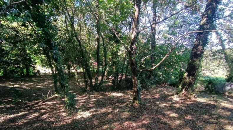 La Coruña - A Coruña - 1500m2