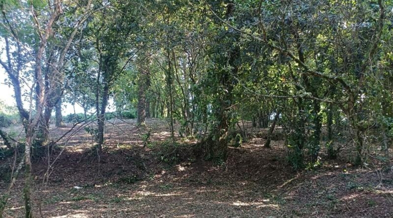 La Coruña - A Coruña - 1500m2
