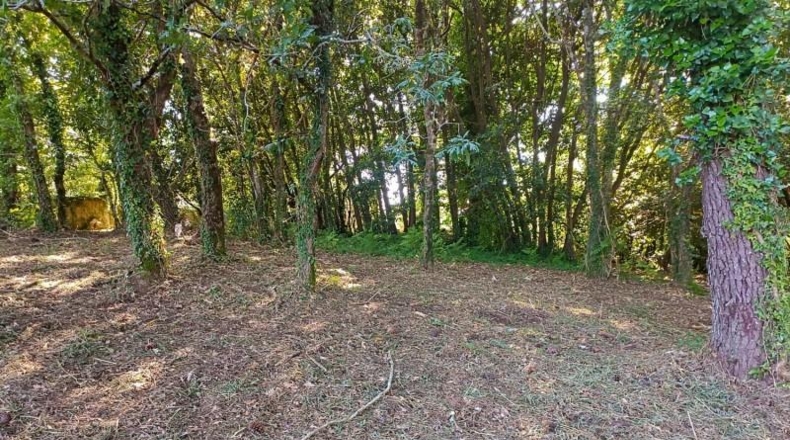 La Coruña - A Coruña - 1500m2