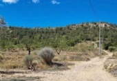 Casa de camp amb terreny en venda a la España, Elx, ref.: TR388490 foto