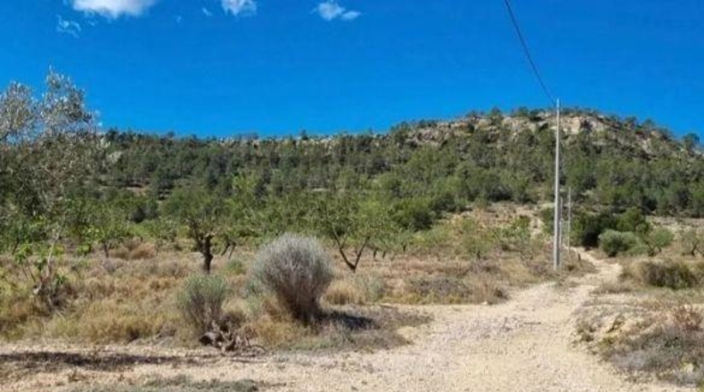 Alicante - Dolores - 46000m2