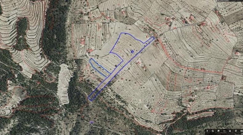 Alicante - Dolores - 46000m2