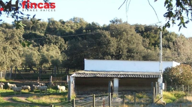 La Rioja - Pedroso - 112286m2