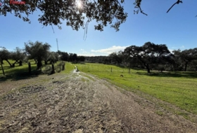 El Pedroso 112286&nbsp;m² 