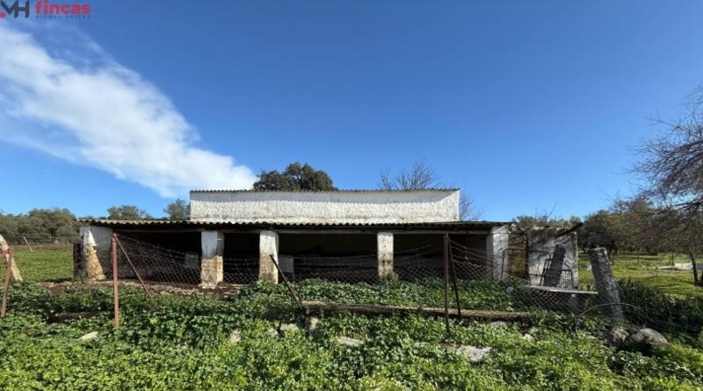 La Rioja - Pedroso - 112286m2