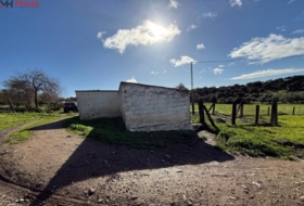 El Pedroso 112286&nbsp;m² 