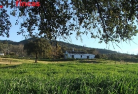 El Pedroso 112286&nbsp;m² 