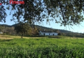 Xalet independent amb terreny en venda a la España, El Pedroso, ref.: TR398265 foto