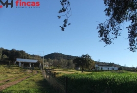 El Pedroso 112286&nbsp;m² 