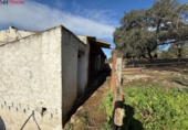 Xalet independent amb terreny en venda a la España, El Pedroso, ref.: TR398265 foto