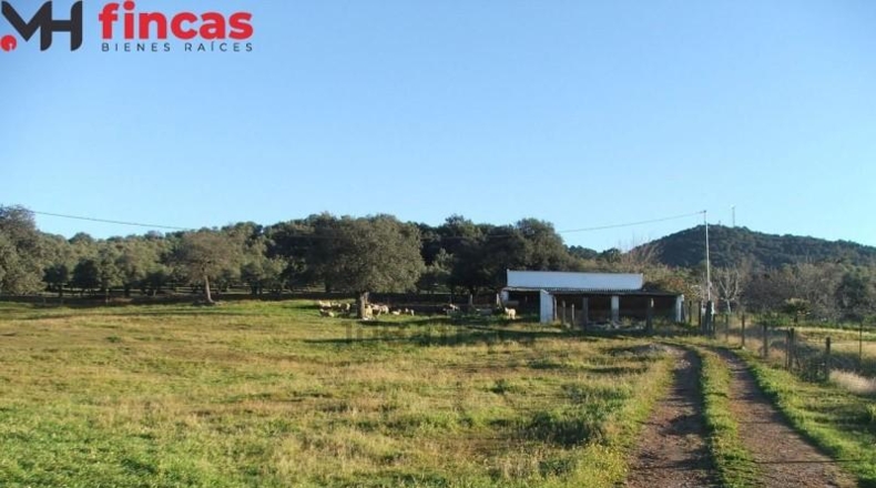 La Rioja - Pedroso - 112286m2