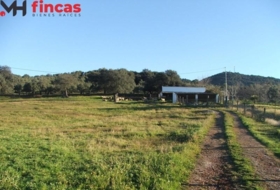 El Pedroso 112286&nbsp;m² 