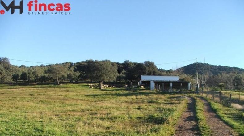 La Rioja - Pedroso - 112286m2