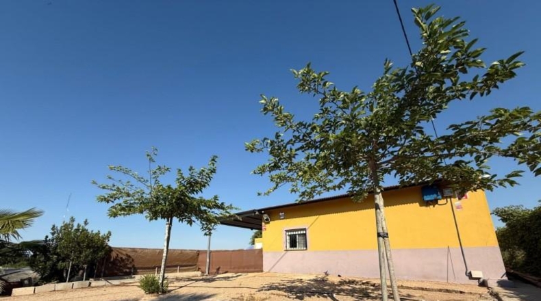 Salamanca - Rollán - 4960m2