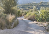 Terreny no urbanitzable en venda a la España, l'Atzúbia, ref.: TR394784 foto