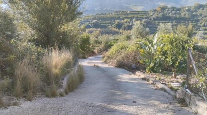 Alicante - Elche - 21342m2
