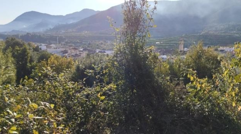 Alicante - Elche - 21342m2