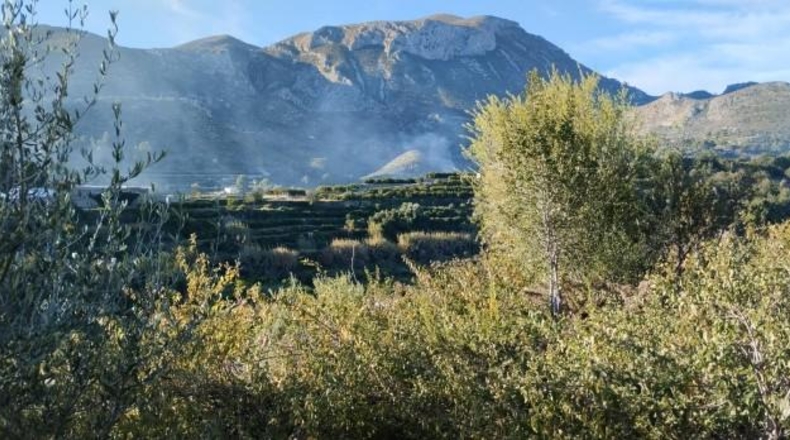 Alicante - Elche - 21342m2
