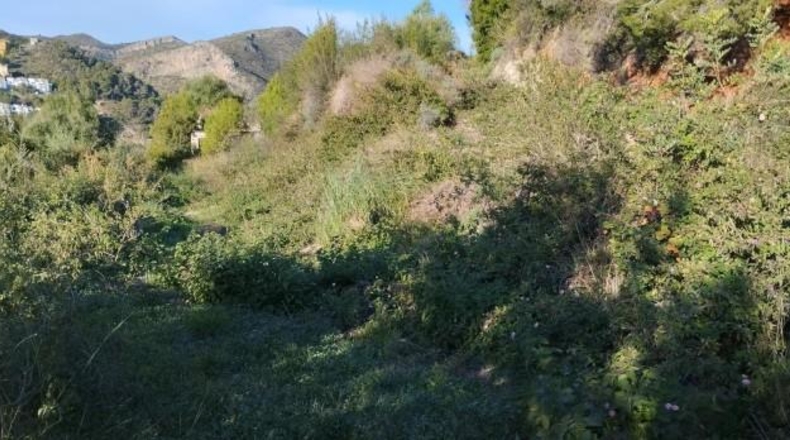 Alicante - Elche - 21342m2