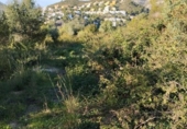 Terreny no urbanitzable en venda a la España, l'Atzúbia, ref.: TR394784 foto
