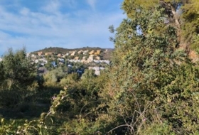 l'Atzúbia 21342&nbsp;m² 