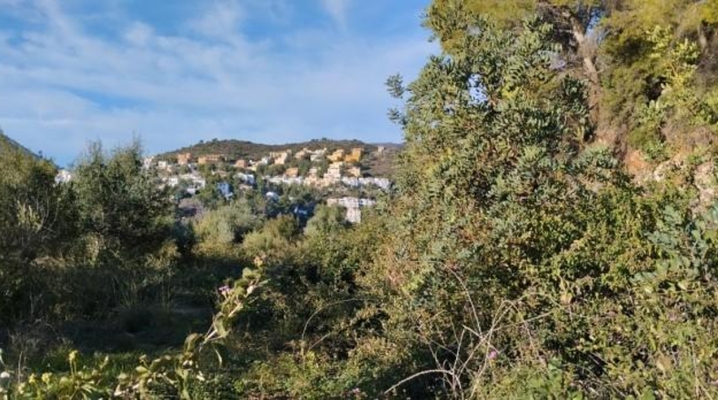 Alicante - Elche - 21342m2