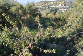 l'Atzúbia 21342&nbsp;m² 