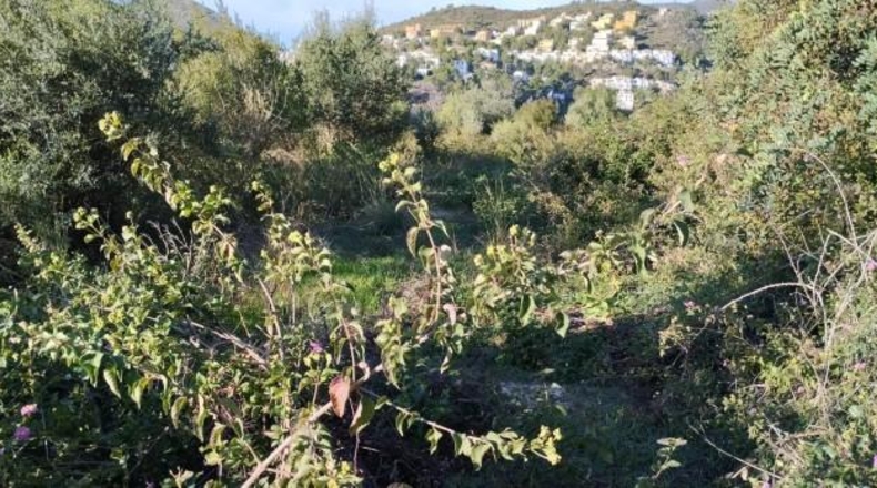Alicante - Elche - 21342m2
