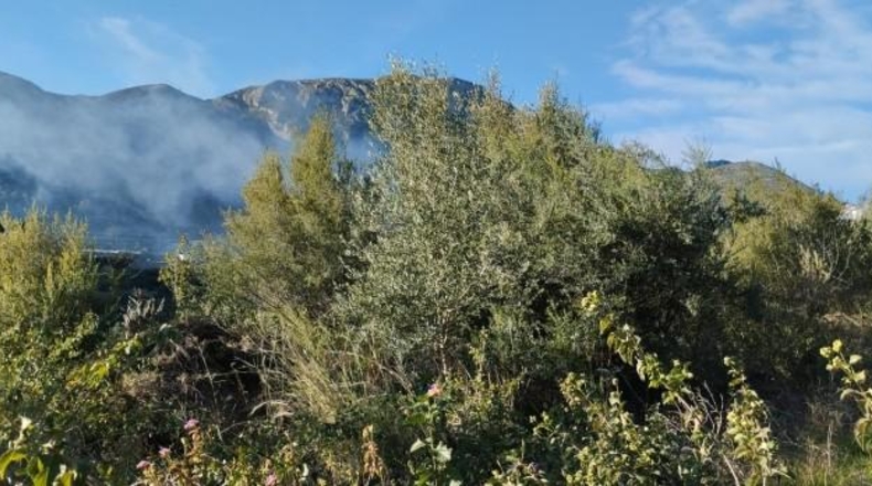 Alicante - Elche - 21342m2