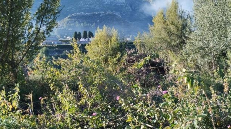 Alicante - Elche - 21342m2