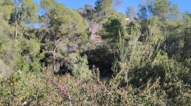 Alicante - Elche - 21342m2