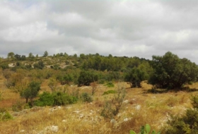 Xaló 35000&nbsp;m² 