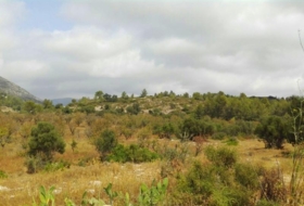 Xaló 35000&nbsp;m² 