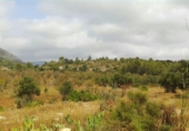 Terreny no urbanitzable en venda a la España, Xaló, ref.: TR397817 foto