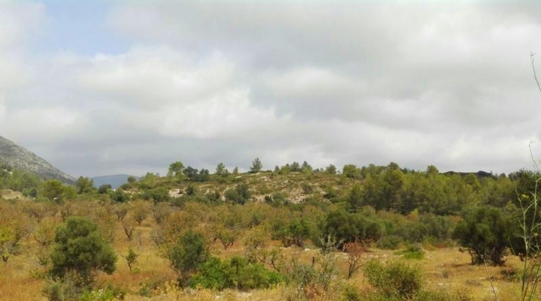 Soria - Arcos de Jalón - 35000m2