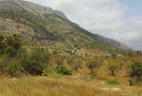 Xaló 35000&nbsp;m² 