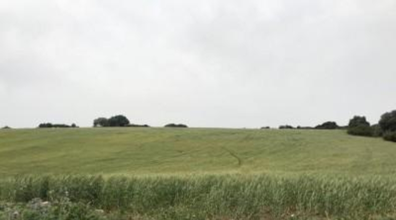 Cádiz - Jerez de la Frontera - 50000m2