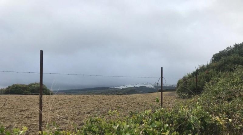 Cádiz - Jerez de la Frontera - 50000m2