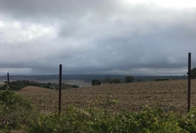 Vejer de la Frontera 50000&nbsp;m² 