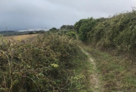 Vejer de la Frontera 50000&nbsp;m² 