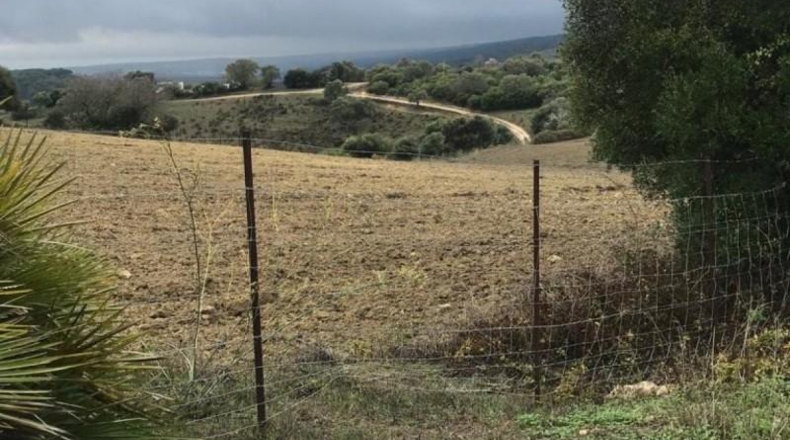 Cádiz - Jerez de la Frontera - 50000m2