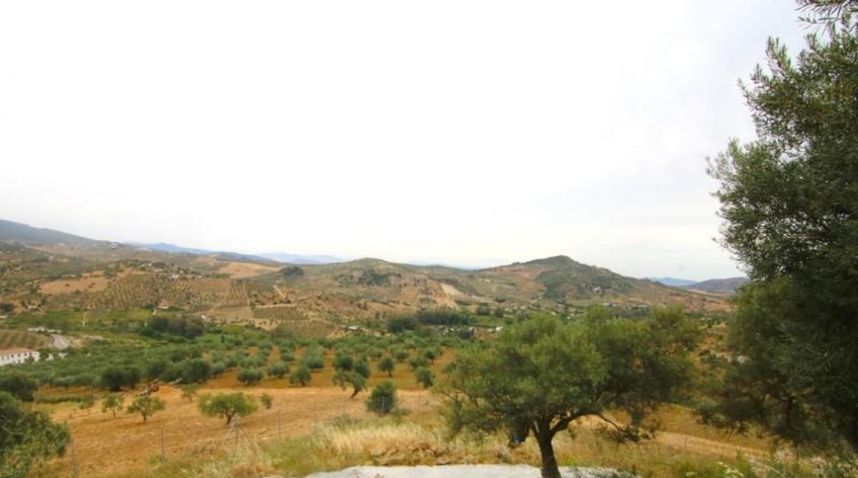 Malaga - Torrox - 2801m2